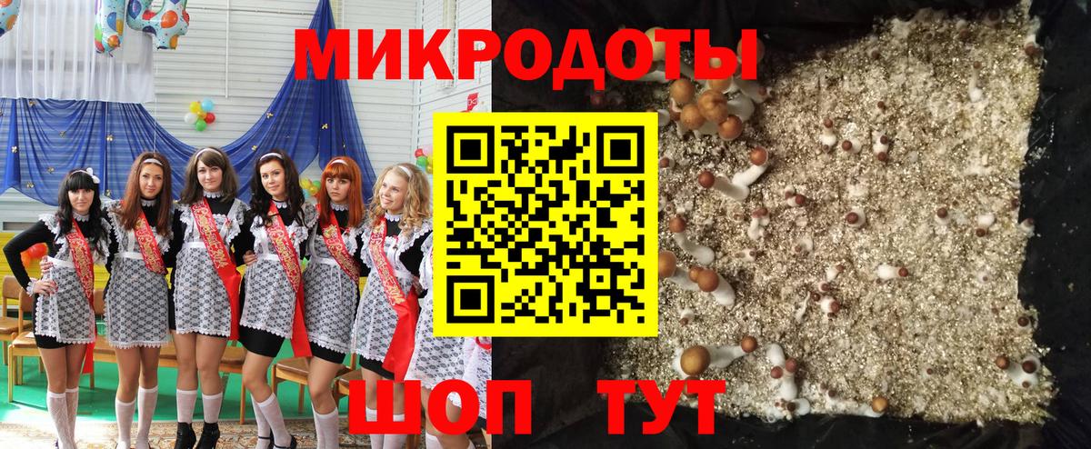 Дубна  дарнет шоп  Псилоцибиновые грибы ЛСД  Вход с VPN  Галлюциногенные грибы Psilocybine cubensis 